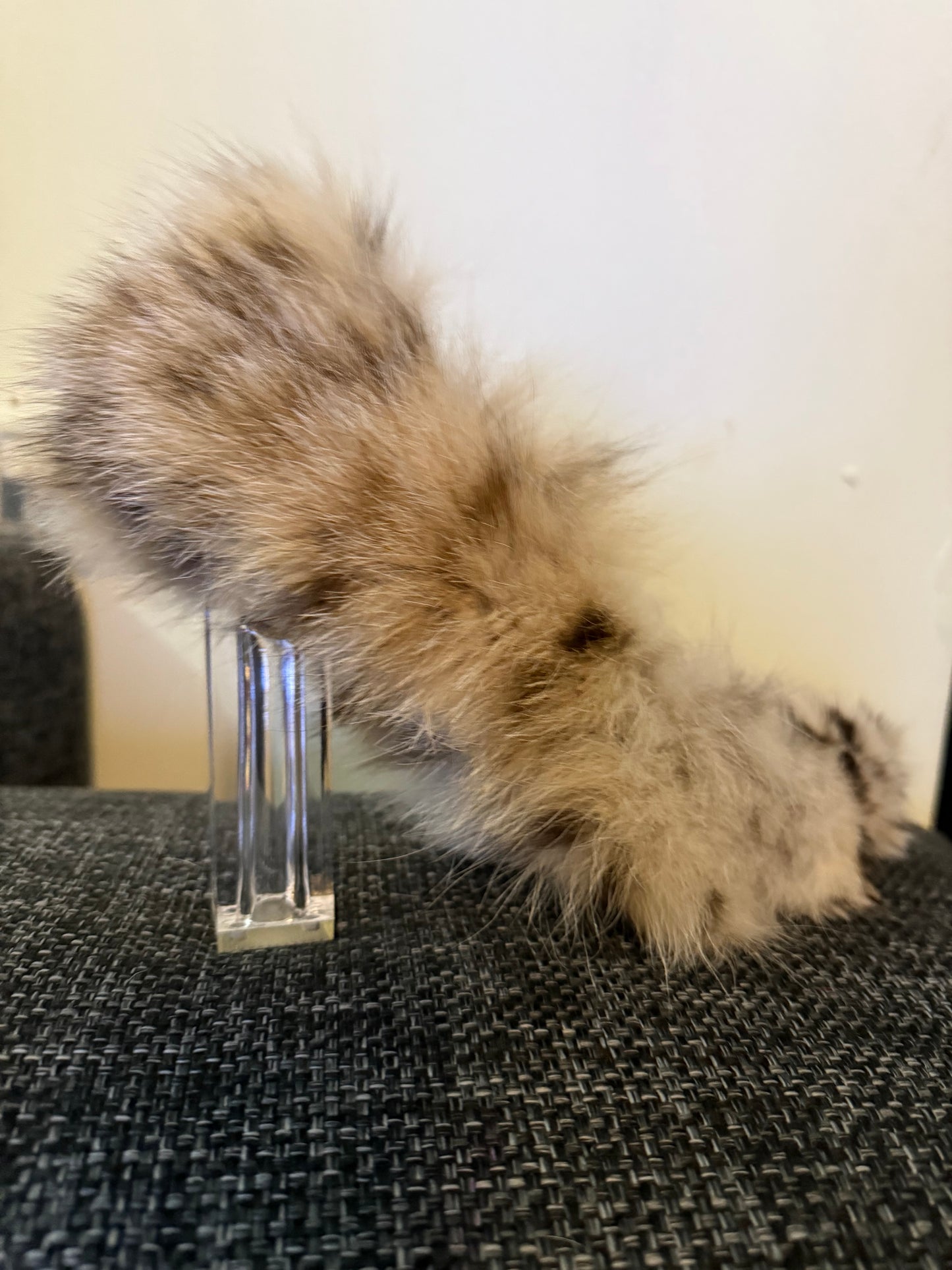 Furry Heels