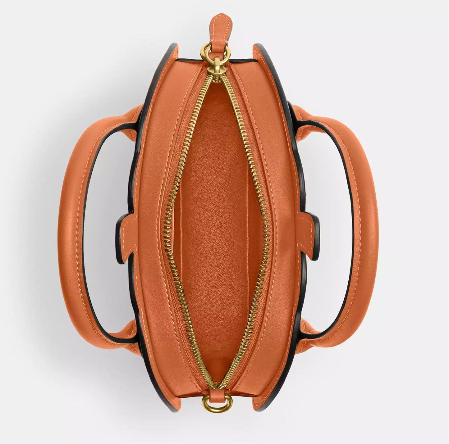 đHalloween Limited Edition âPumpkin Bag In Leather