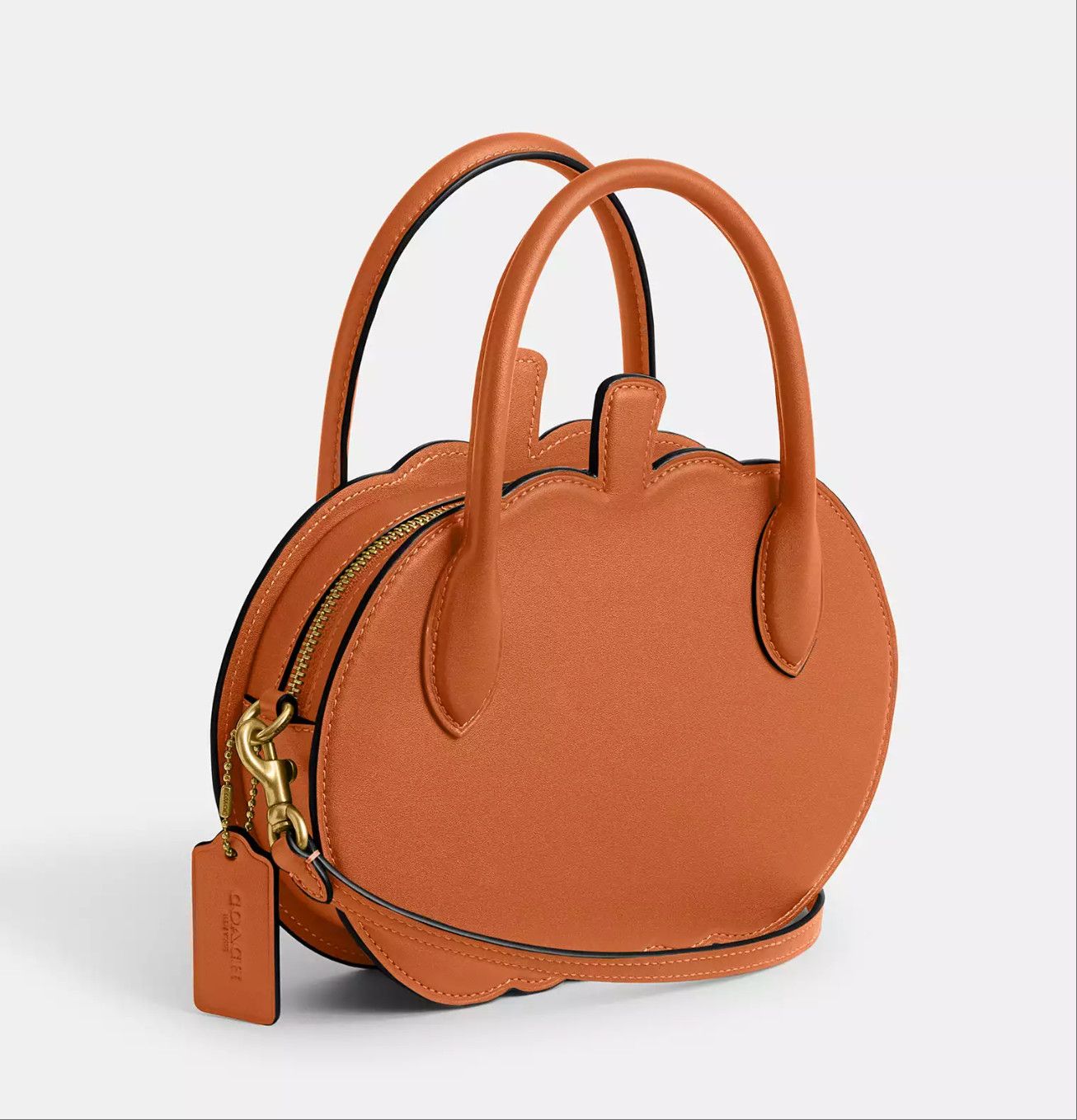 🎃Halloween Limited Edition —Pumpkin Bag In Leather